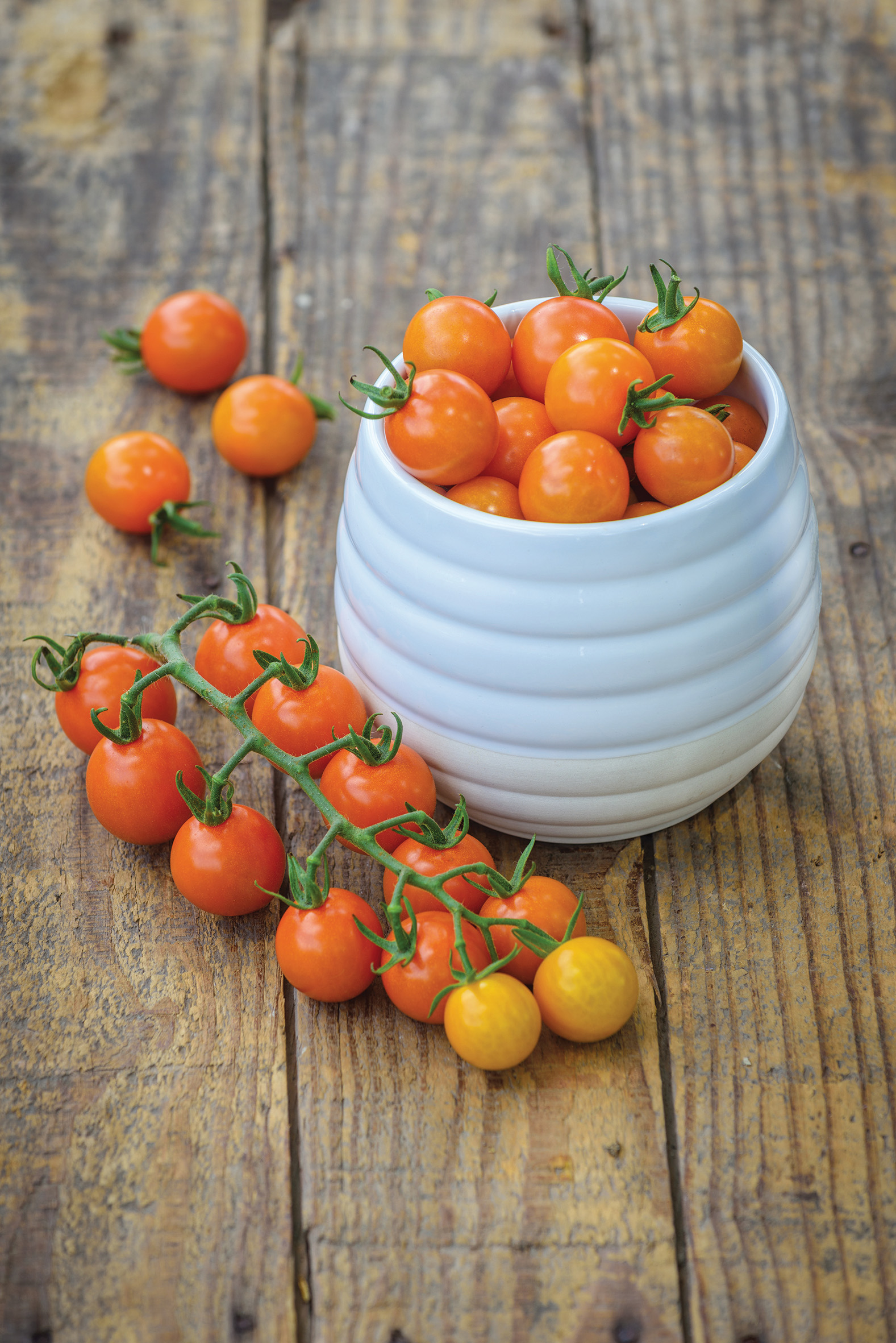 Rajče Honeycomb - koktejlové