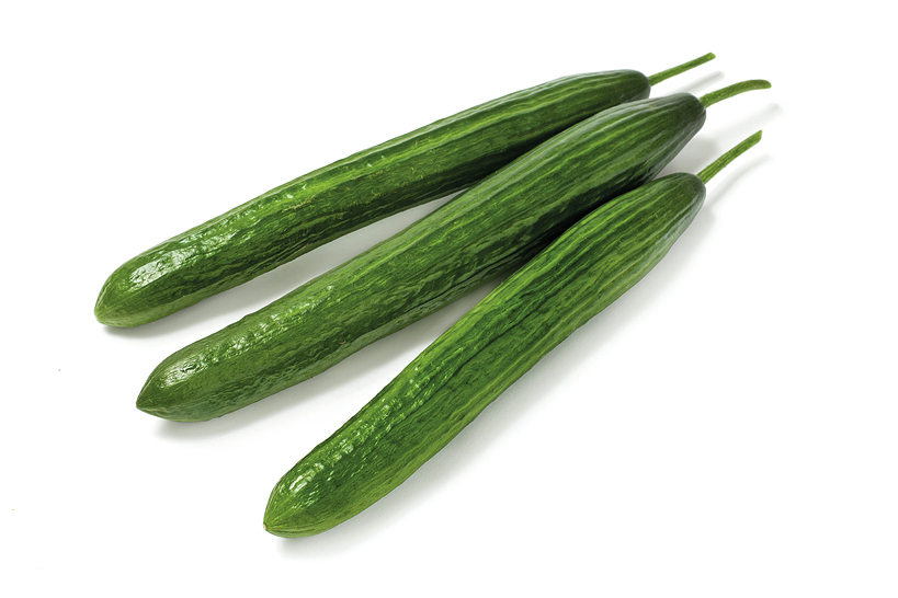 Okurka Inga - Hadovka